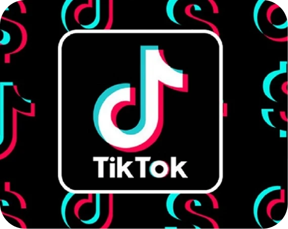 tiktok-block4-icon