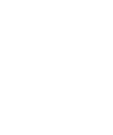 Лицо компании