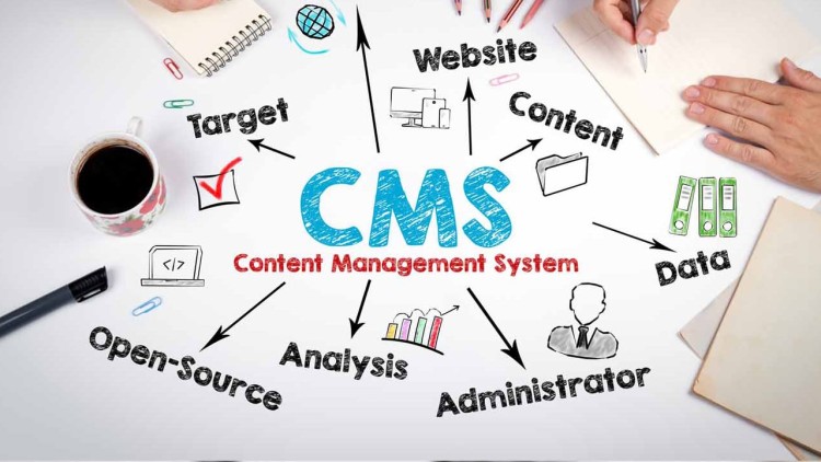 Какую CMS выбрать для своего будущего сайта